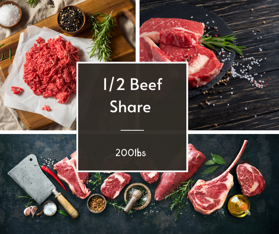 1/2 Beef Share Deposit